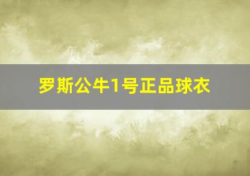 罗斯公牛1号正品球衣