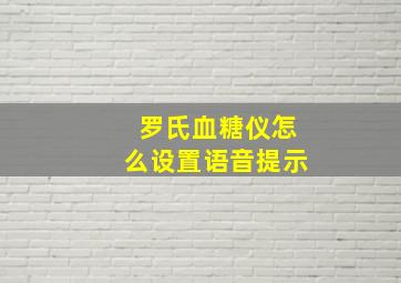 罗氏血糖仪怎么设置语音提示