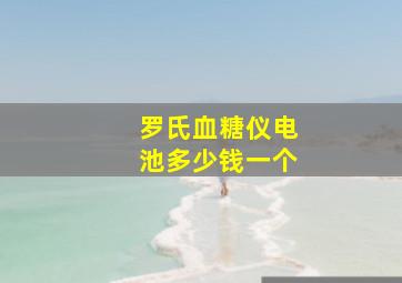 罗氏血糖仪电池多少钱一个