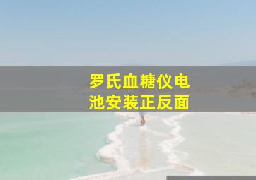 罗氏血糖仪电池安装正反面