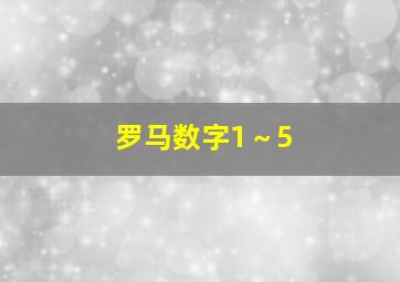 罗马数字1～5