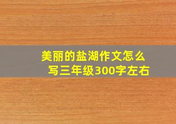 美丽的盐湖作文怎么写三年级300字左右