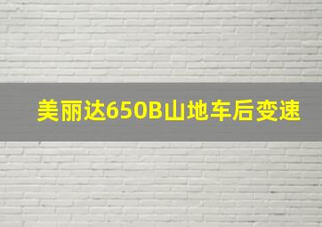 美丽达650B山地车后变速