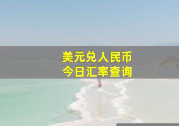 美元兑人民币今日汇率查询