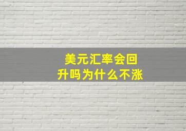 美元汇率会回升吗为什么不涨