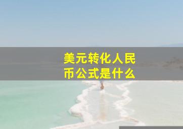 美元转化人民币公式是什么