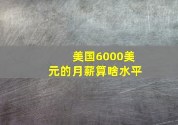 美国6000美元的月薪算啥水平