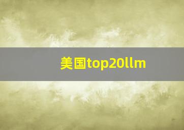 美国top20llm