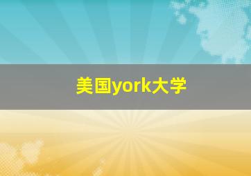 美国york大学