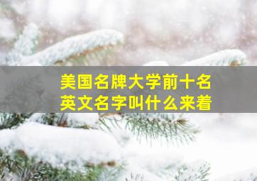 美国名牌大学前十名英文名字叫什么来着