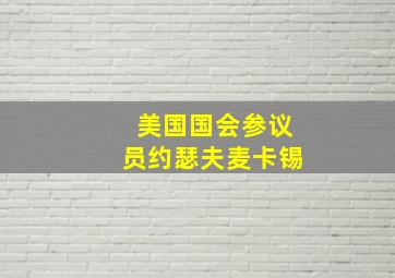 美国国会参议员约瑟夫麦卡锡