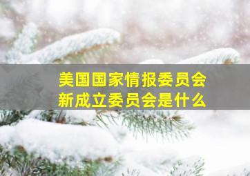 美国国家情报委员会新成立委员会是什么