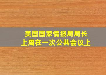 美国国家情报局局长上周在一次公共会议上