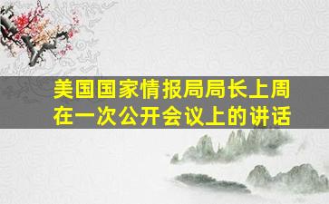 美国国家情报局局长上周在一次公开会议上的讲话