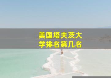 美国塔夫茨大学排名第几名