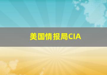 美国情报局CIA