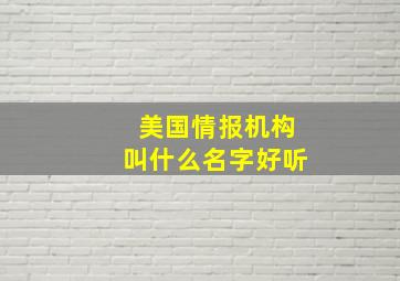 美国情报机构叫什么名字好听