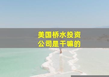 美国桥水投资公司是干嘛的