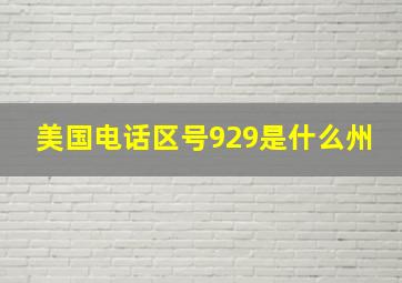 美国电话区号929是什么州