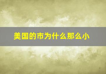 美国的市为什么那么小