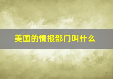 美国的情报部门叫什么