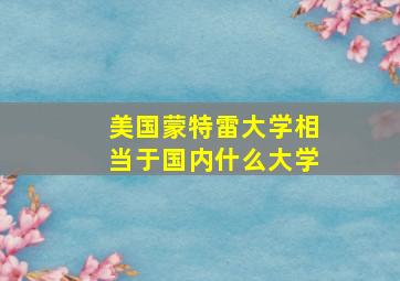 美国蒙特雷大学相当于国内什么大学