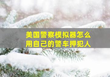 美国警察模拟器怎么用自己的警车押犯人