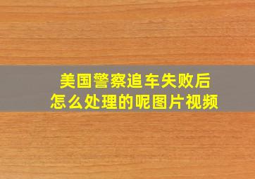 美国警察追车失败后怎么处理的呢图片视频