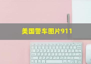 美国警车图片911