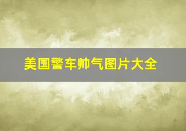 美国警车帅气图片大全