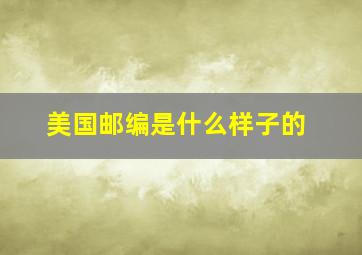 美国邮编是什么样子的