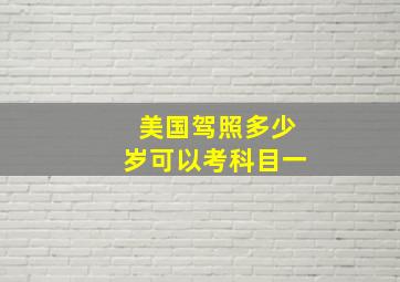 美国驾照多少岁可以考科目一