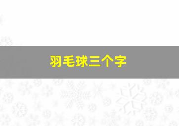 羽毛球三个字