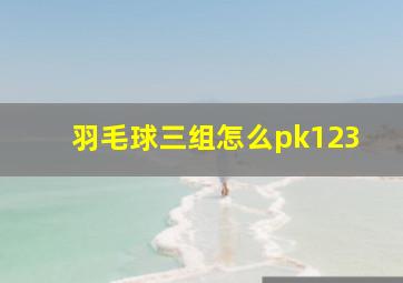 羽毛球三组怎么pk123