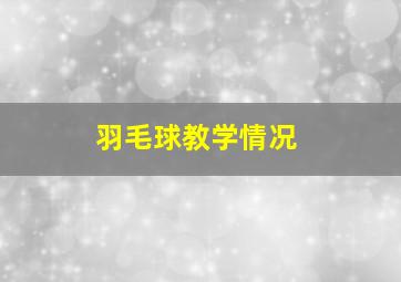 羽毛球教学情况