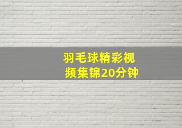 羽毛球精彩视频集锦20分钟