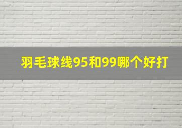 羽毛球线95和99哪个好打