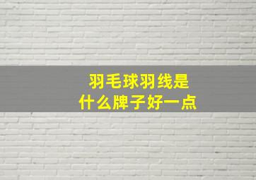 羽毛球羽线是什么牌子好一点