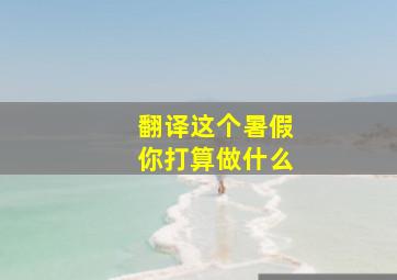 翻译这个暑假你打算做什么