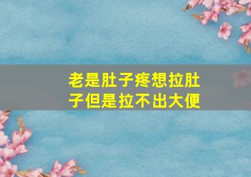 老是肚子疼想拉肚子但是拉不出大便