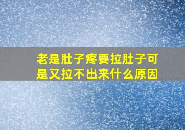 老是肚子疼要拉肚子可是又拉不出来什么原因