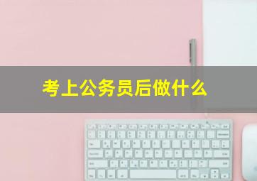 考上公务员后做什么