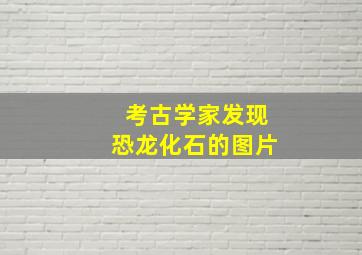 考古学家发现恐龙化石的图片