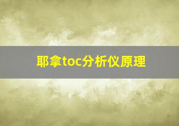 耶拿toc分析仪原理