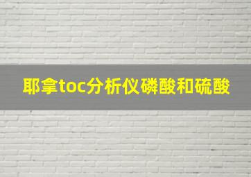 耶拿toc分析仪磷酸和硫酸