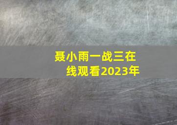 聂小雨一战三在线观看2023年