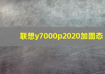 联想y7000p2020加固态