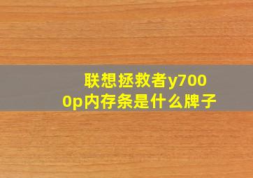 联想拯救者y7000p内存条是什么牌子