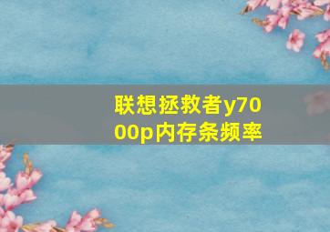 联想拯救者y7000p内存条频率