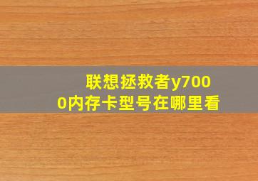 联想拯救者y7000内存卡型号在哪里看